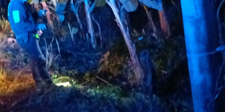 A una mujer la mataron y abandonaron en una bananera
