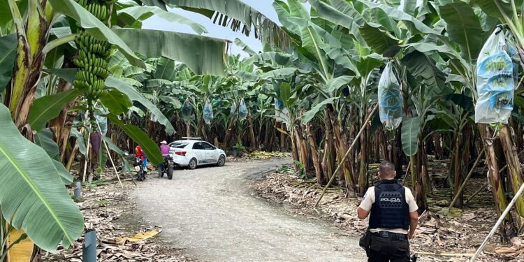 Identificaron a joven asesinado en una guardarraya
