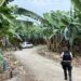 Identificaron a joven asesinado en una guardarraya