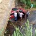 Un carro se cayó de un puente quedando heridos sus ocupantes