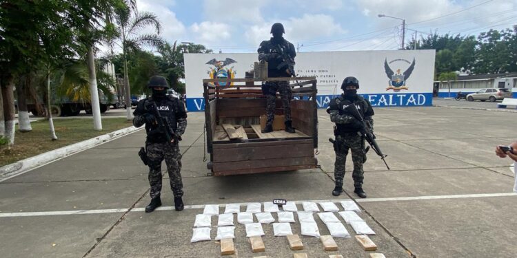 Un hombre junto a una excandidata a la Asamblea fueron detenidos con 10 kilos de droga
