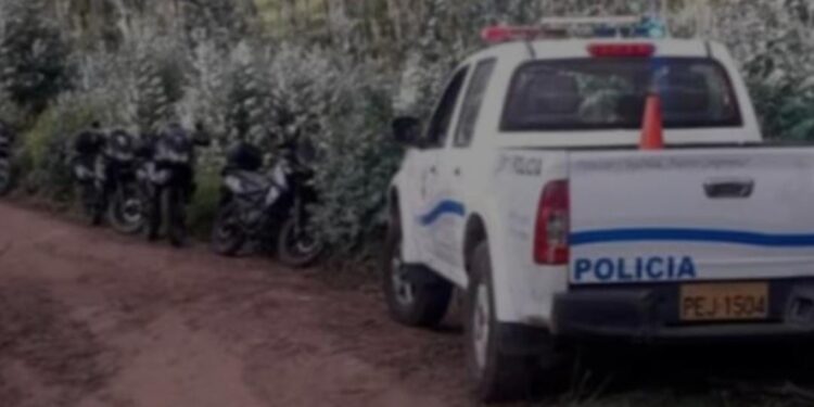 Dos niños en pañales fueron asesinados violentamente en Cayambe