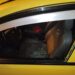 Sujeto que habría roto el vidrio de un carro para robar un celular fue detenido
