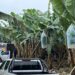 Identificaron al último de los tres jóvenes ejecutados en una bananera