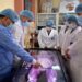 Este lunes en la UTMACH se colocará la primera piedra de nuevo bloque de aulas para Medicina
