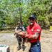 Cuerpo de Bomberos Machala entregó un oso hormiguero para su liberación