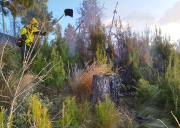 Incendio forestal en Chilla fue controlado