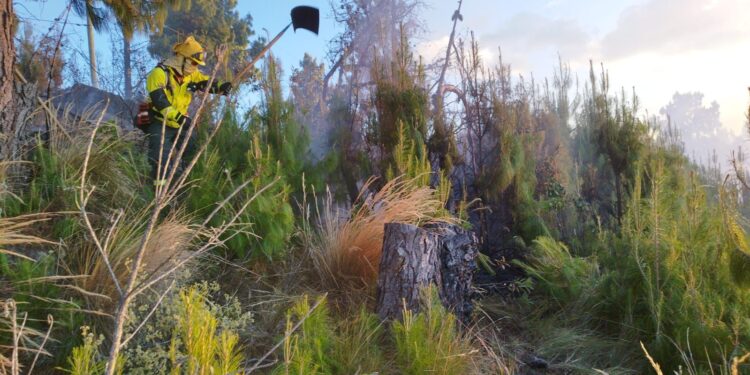 Incendio forestal en Chilla fue controlado