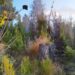 Incendio forestal en Chilla fue controlado