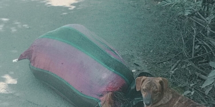 Cadáver fue encontrado en un saco
