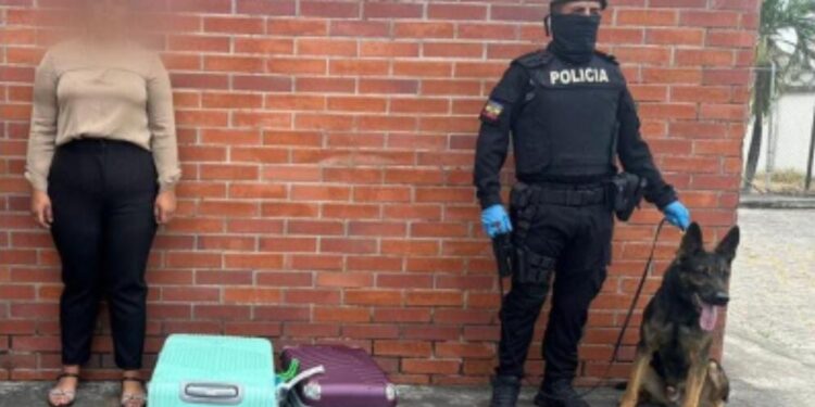 Perro antinarcóticos Rolli intercepta envío de cocaína en Guayaquil