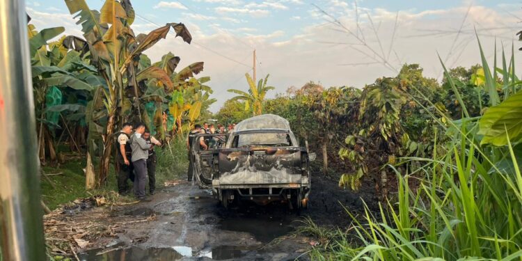 Camioneta fue incinerada en una guardarraya
