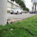 Luego de cometer un asalto murieron en un accidente de tránsito