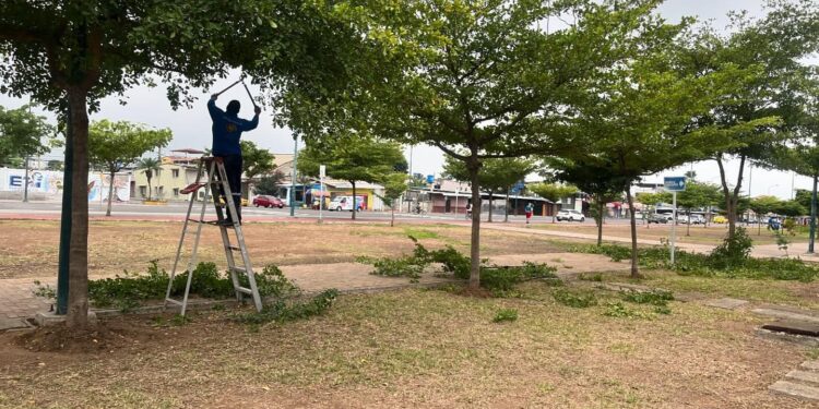 ¡Jorge Alvarez logra que INMOBILIAR le dé mantenimiento al Parque Zoila Ugarte de Machala!.