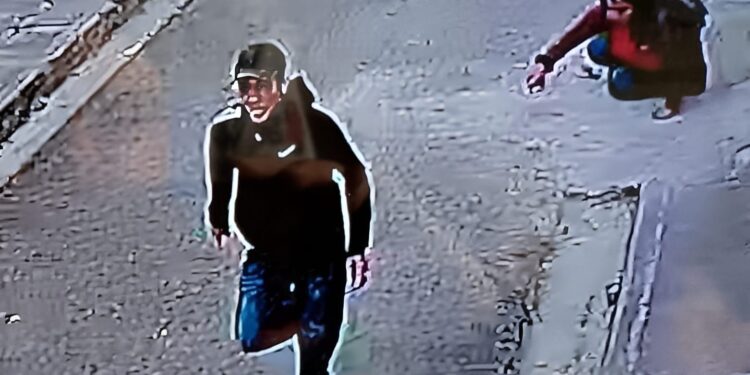 Delincuente golpeó a una mujer por robarle