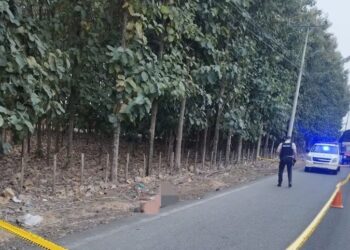 Hallan sin vida a padre e hijo desaparecidos