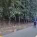 Hallan sin vida a padre e hijo desaparecidos
