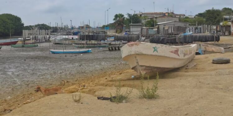 Pescadores hallaron tres cuerpos que estaban enterrados