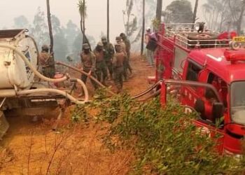 Incendio forestal en la Parroquia San Antonio de las Aradas, Cantón Quilanga