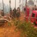 Incendio forestal en la Parroquia San Antonio de las Aradas, Cantón Quilanga