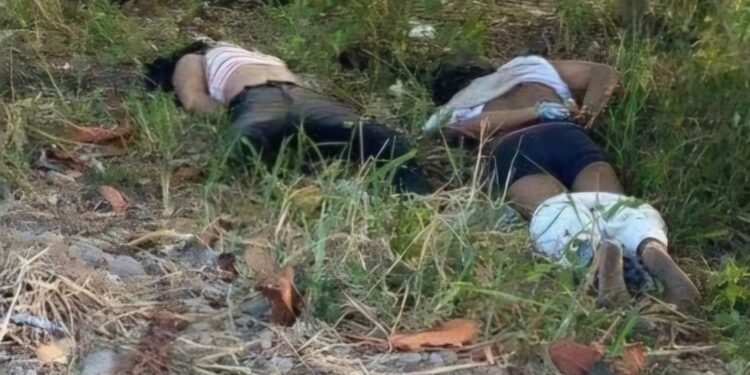 Entre la maleza hallaron los cuerpos de tres hombres y una mujer