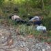 Entre la maleza hallaron los cuerpos de tres hombres y una mujer