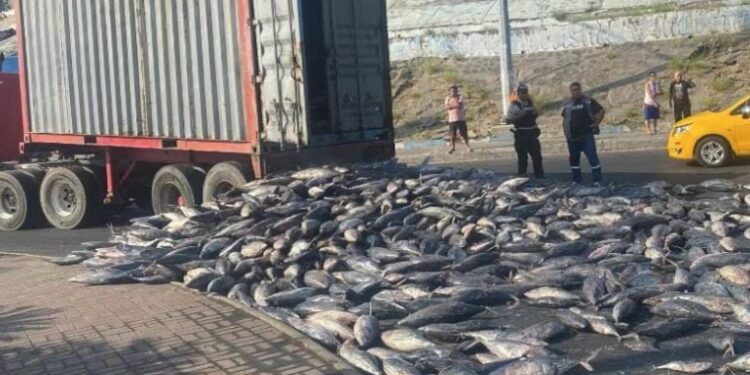 Ciudadanos ayudaron a recoger el atún que cayó en la vía