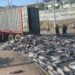 Ciudadanos ayudaron a recoger el atún que cayó en la vía