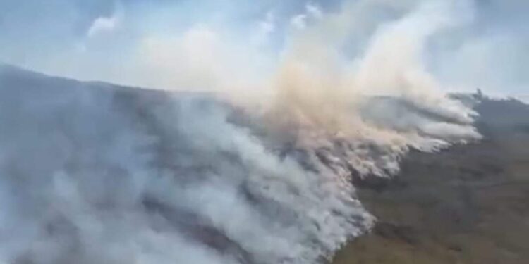 Incendio en Sigchos lleva cinco días arrasando con hectáreas de páramo