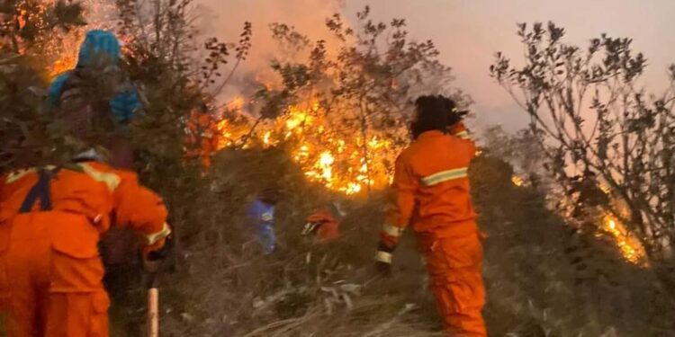Incendio en el cerro San Fernando continúa sin ser controlado tras 45 horas de lucha