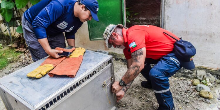Nutria rescatada en casa es entregada al Ministerio del Ambiente para su liberación
