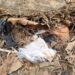 Militares encontraron sustancias ilícitas abandonada en medio de un terreno baldio