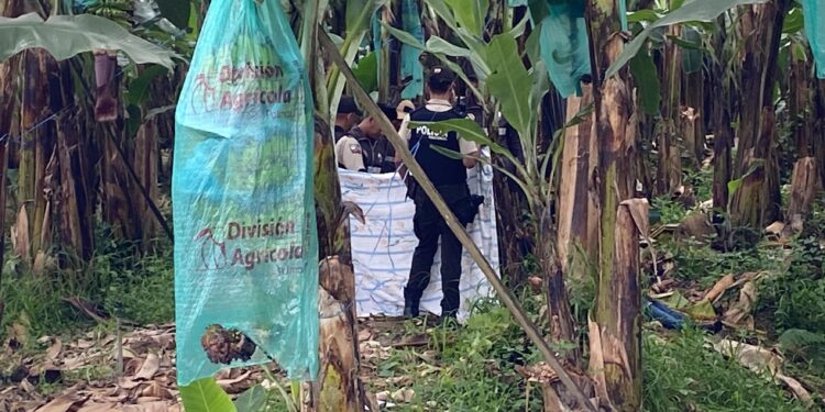 Decapitado estuvo secuestrado desde el domingo