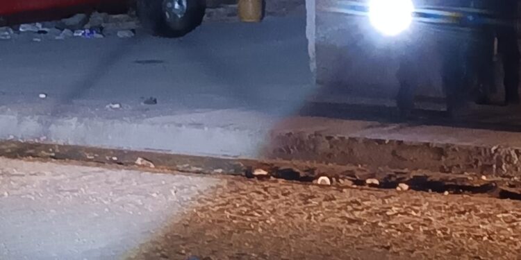 Infantería de Marina frustró otra ataque terrorista