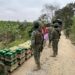 Duro golpe al contrabando en la frontera sur