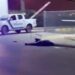 Matan a balazos y machetazos a guardia de seguridad de urbanización en Machala