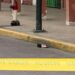 Abandonaron un artefacto explosivo en Puerto Bolívar