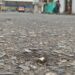 Herido al recibir disparos en un ataque
