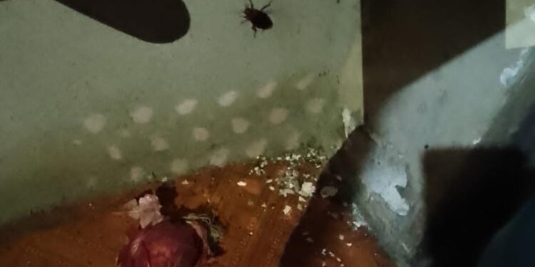 ARCSA clausura dos restaurantes en Daule por graves irregularidades sanitarias