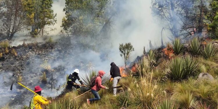 Intensifican lucha contra incendios forestales en Cuenca