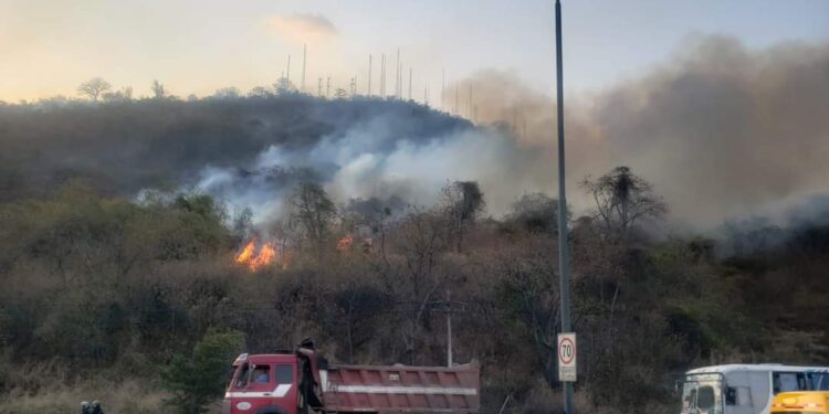 𝗜𝗻𝗰𝗲𝗻𝗱𝗶𝗼 𝗲𝗻 𝗖𝗲𝗿𝗿𝗼 𝗔𝘇𝘂𝗹 𝗮𝗳𝗲𝗰𝘁𝗮 86 𝗵𝗲𝗰𝘁á𝗿𝗲𝗮𝘀 𝘆 𝗽𝗿𝗼𝘃𝗼𝗰𝗮 𝘀𝘂𝘀𝗽𝗲𝗻𝘀𝗶ó𝗻 𝗱𝗲 𝗰𝗹𝗮𝘀𝗲𝘀