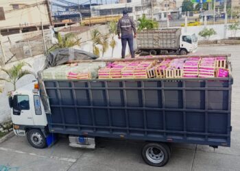 En operativo decomisaron 1500 cajas de producto perecible de contrabando