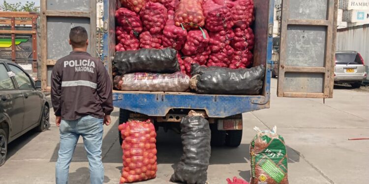 Camión lleno de productos perecibles de contrabando fue intervenido