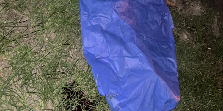 Murió tras ser atropellado por un camión