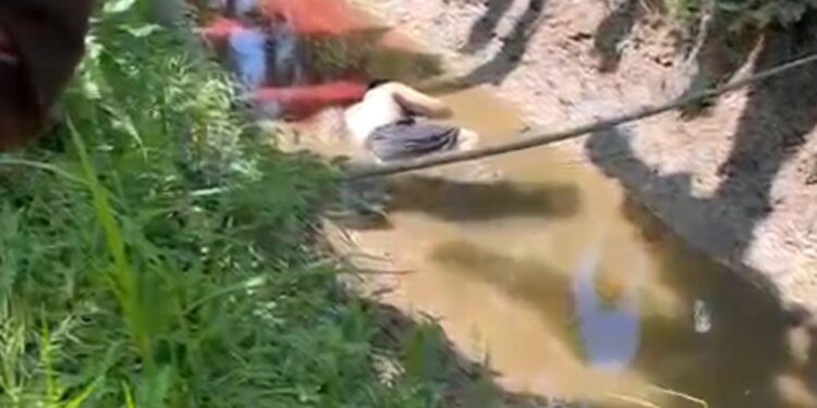 Asesinado y arrojado en un canal de riego