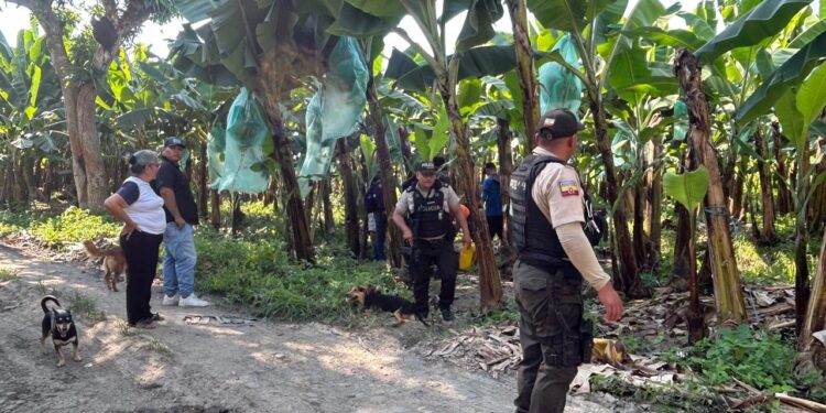 Asesinado con disparos en la espalda y cabeza en un canal de riego