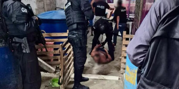 Nueve detenidos por trama de corrupción que involucra a agentes de tránsito