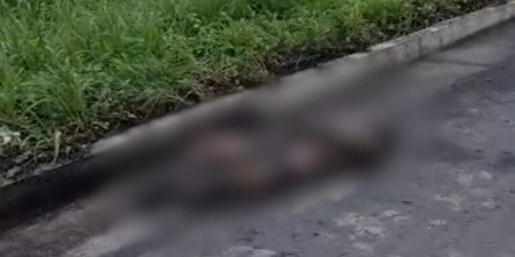En la vía fue encontrado un cadáver maniatado e incinerado