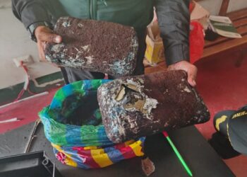 Detenidos luego que salieron de Huaquillas con sustancias ilícitas