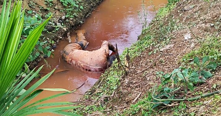 Lo encontraron sin vida en un canal de riego